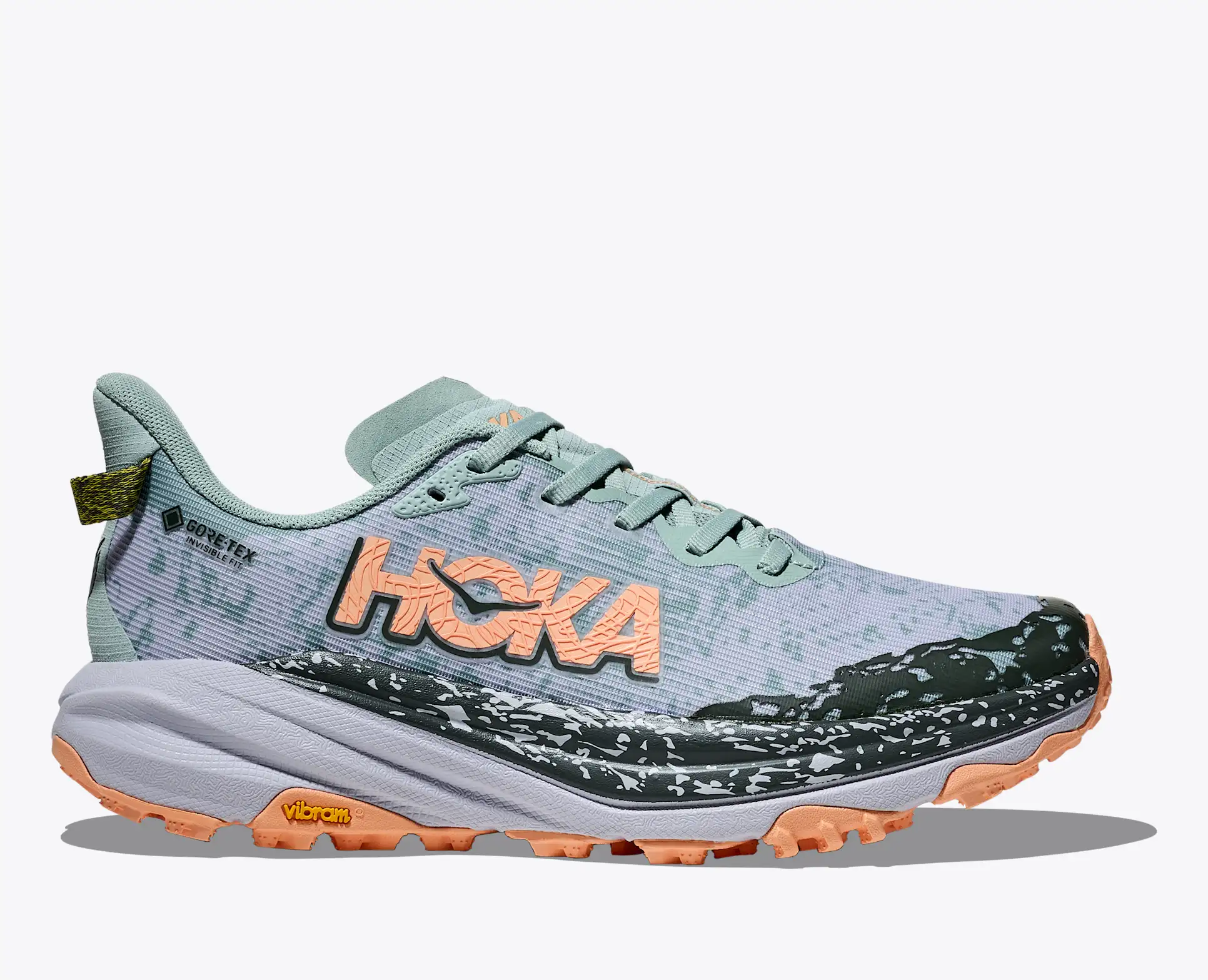 Women's Speedgoat 6 GTX